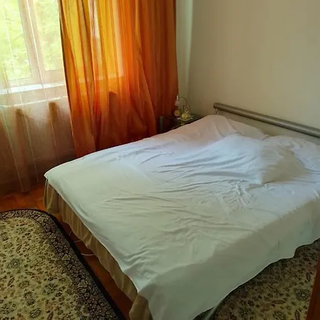Apartment 2 - Brotacei